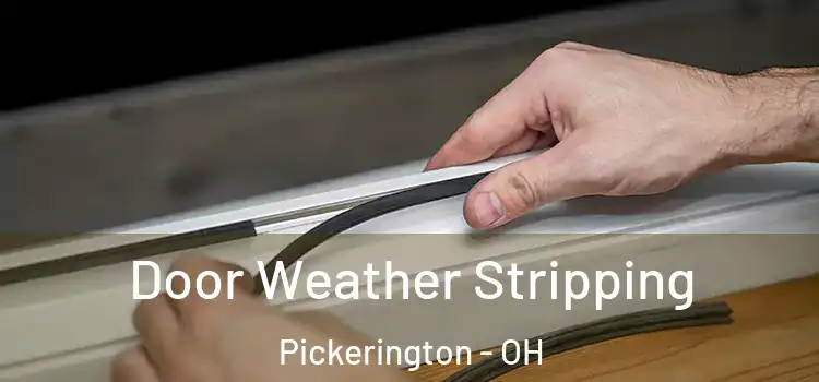  Door Weather Stripping Pickerington - OH