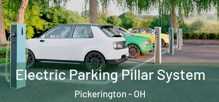  Electric Parking Pillar System Pickerington - OH