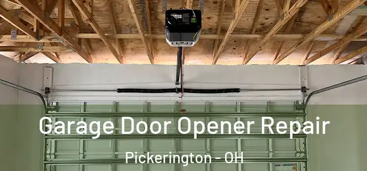  Garage Door Opener Repair Pickerington - OH