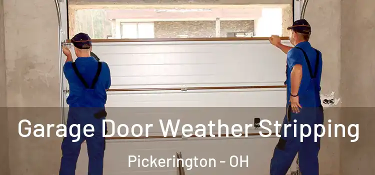  Garage Door Weather Stripping Pickerington - OH