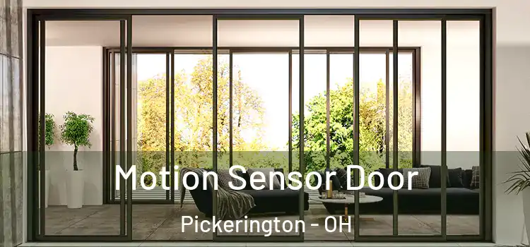  Motion Sensor Door Pickerington - OH